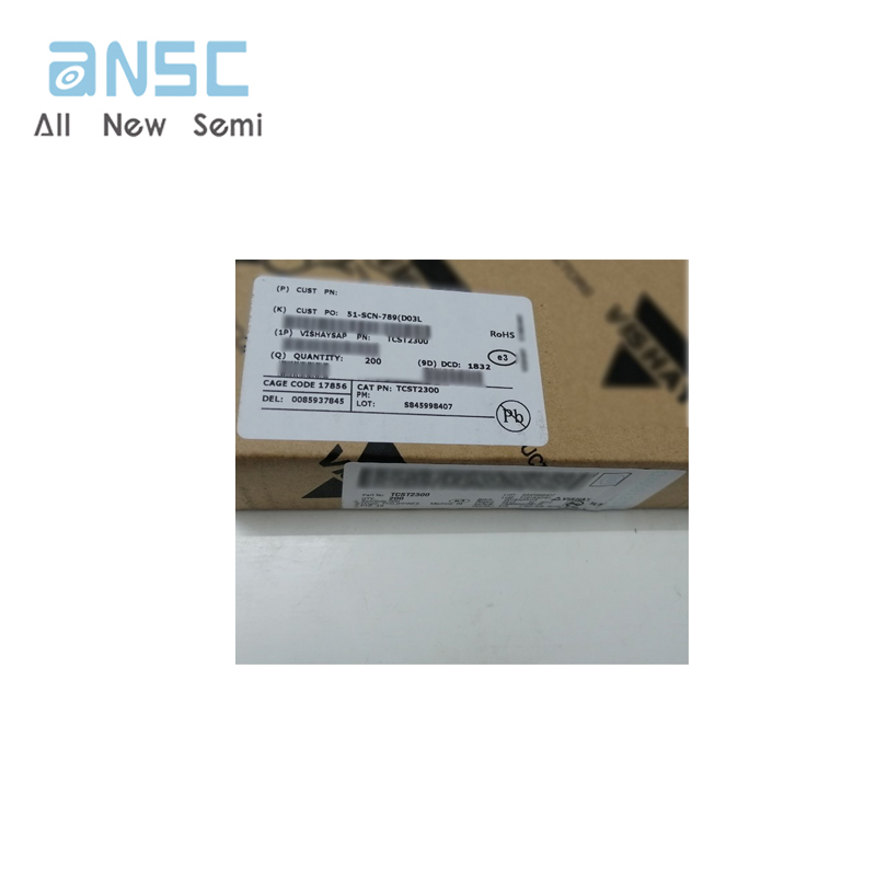 TCST2300