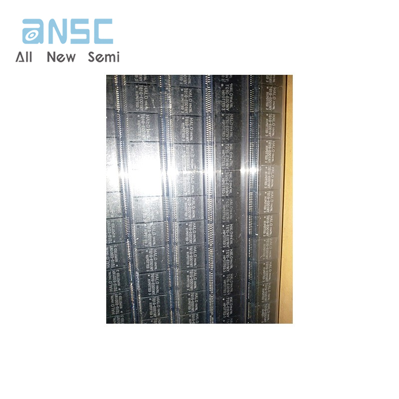 TG1G-E001NYLF