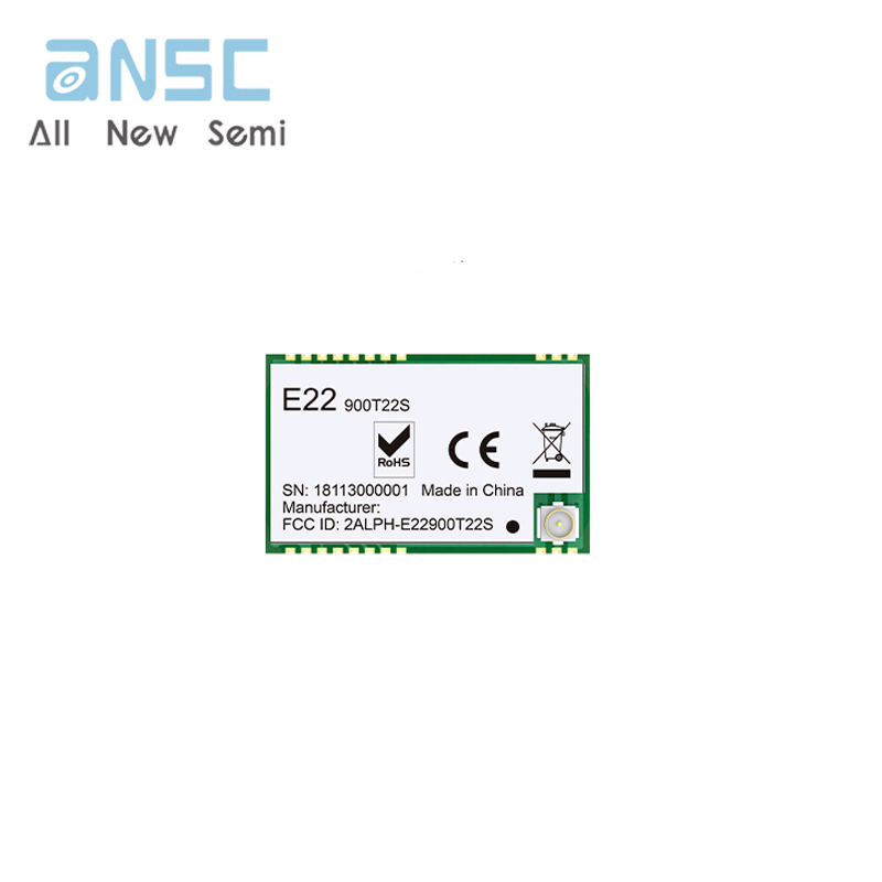 E22-900T22S