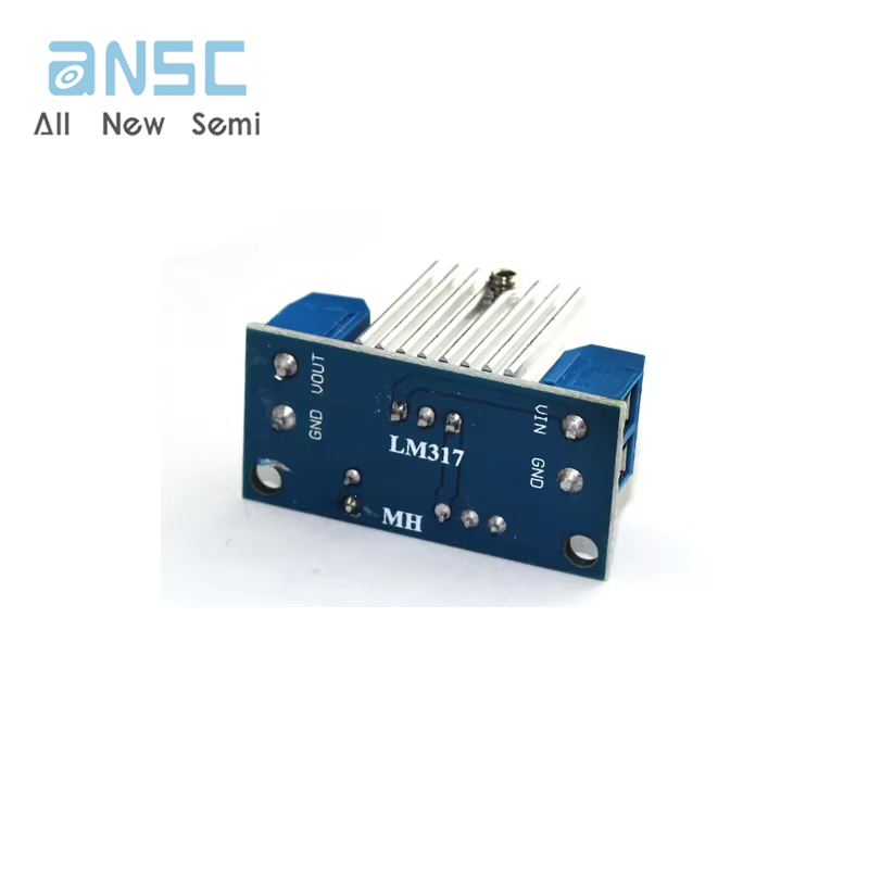 LM317 5 1767946900bc6e49.jpg