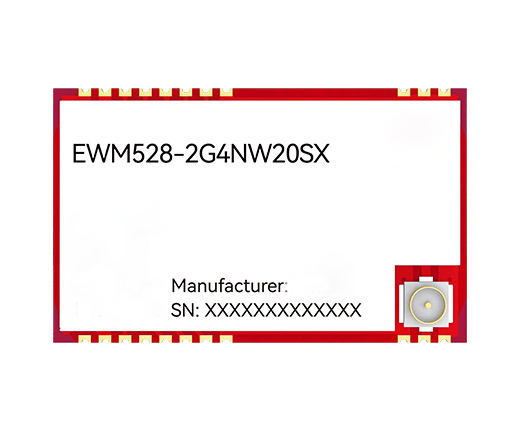 EWM528-2G4NW20SX