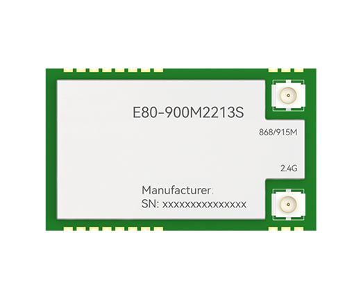 E80-900M2213S