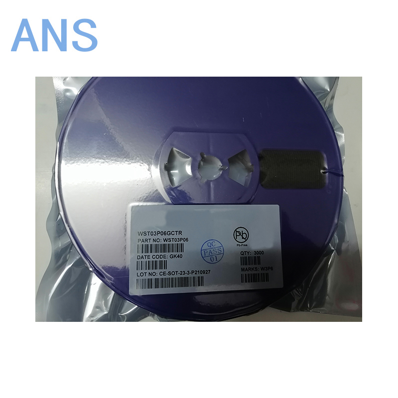WST03P06GCTR