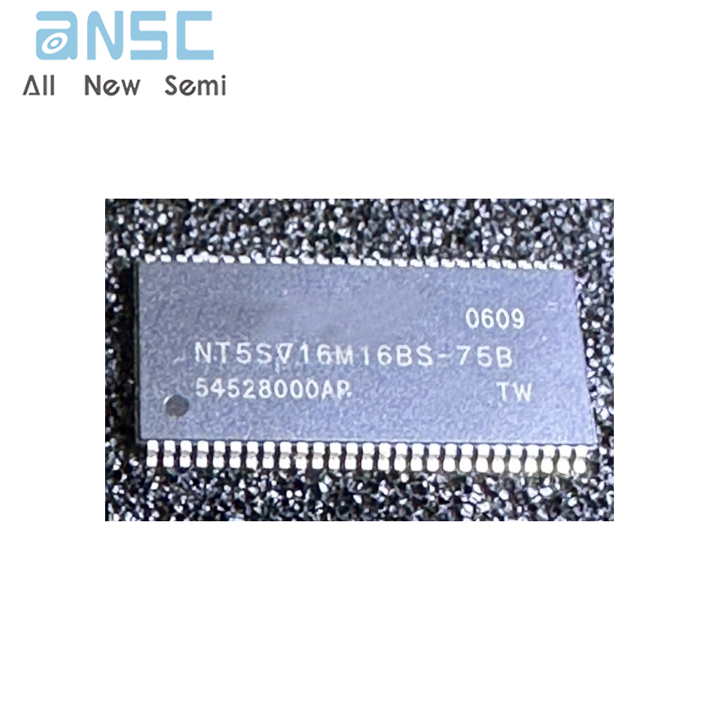 NT5SV16M16BS-75B